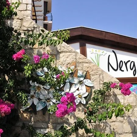 Nergis *