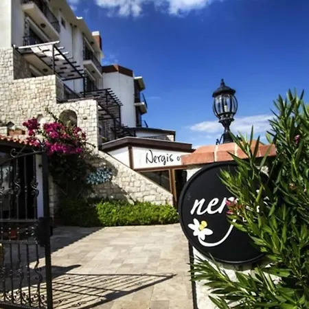 Hotel Nergis