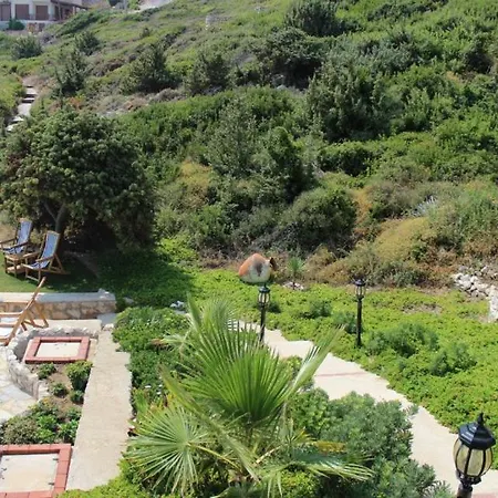 Nergis * Karaburun (Izmir)