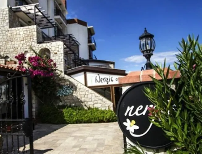 Hotel Nergis