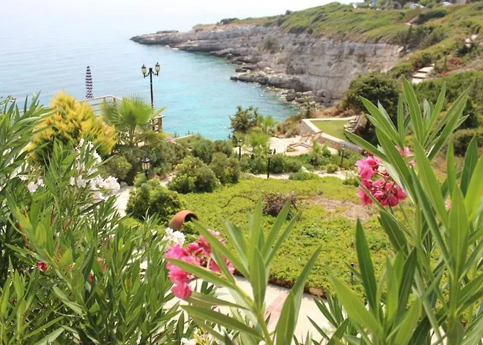 Nergis קרבורון